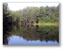 náhled fotky: Jenišovský rybník