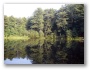 náhled fotky: Jenišovský rybník