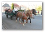 náhled fotky: img_1478.jpg