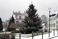 Vánoční strom na Svatovítském náměstí v Osečné rozsvícen