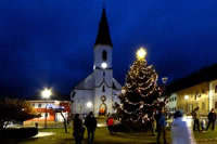 Vánoční strom na Svatovítském náměstí v Osečné rozsvícen