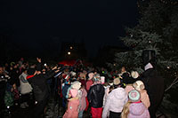 Rozsvícení vánočního stromu na Svatovítském náměstí v Osečné